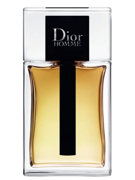 dior homme eau de toilette reviews|dior homme edt 2020.